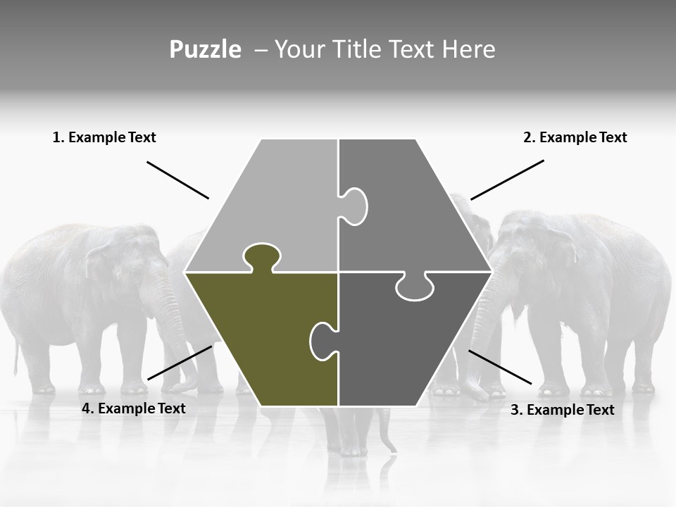 Tier Zusammenhalt Elefanten PowerPoint Template