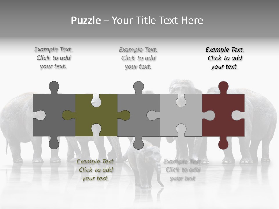 Tier Zusammenhalt Elefanten PowerPoint Template