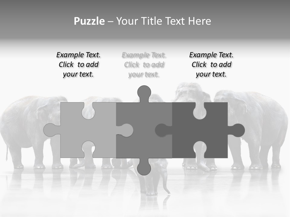 Tier Zusammenhalt Elefanten PowerPoint Template