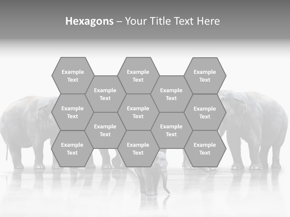 Tier Zusammenhalt Elefanten PowerPoint Template