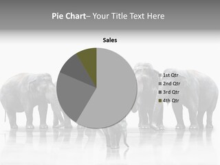 Tier Zusammenhalt Elefanten PowerPoint Template