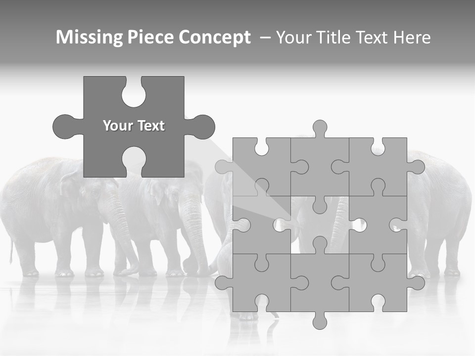 Tier Zusammenhalt Elefanten PowerPoint Template