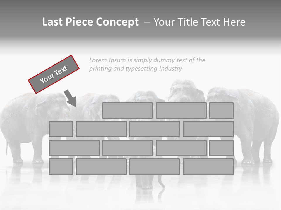 Tier Zusammenhalt Elefanten PowerPoint Template