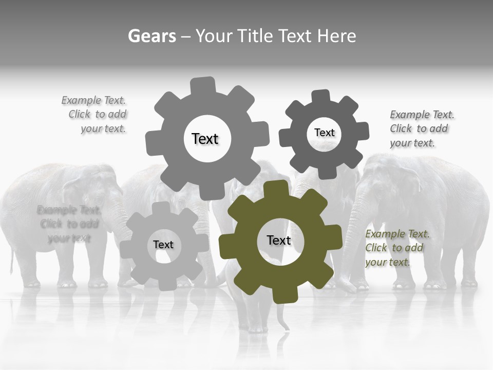 Tier Zusammenhalt Elefanten PowerPoint Template