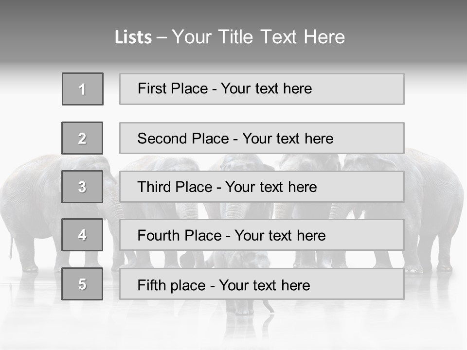 Tier Zusammenhalt Elefanten PowerPoint Template