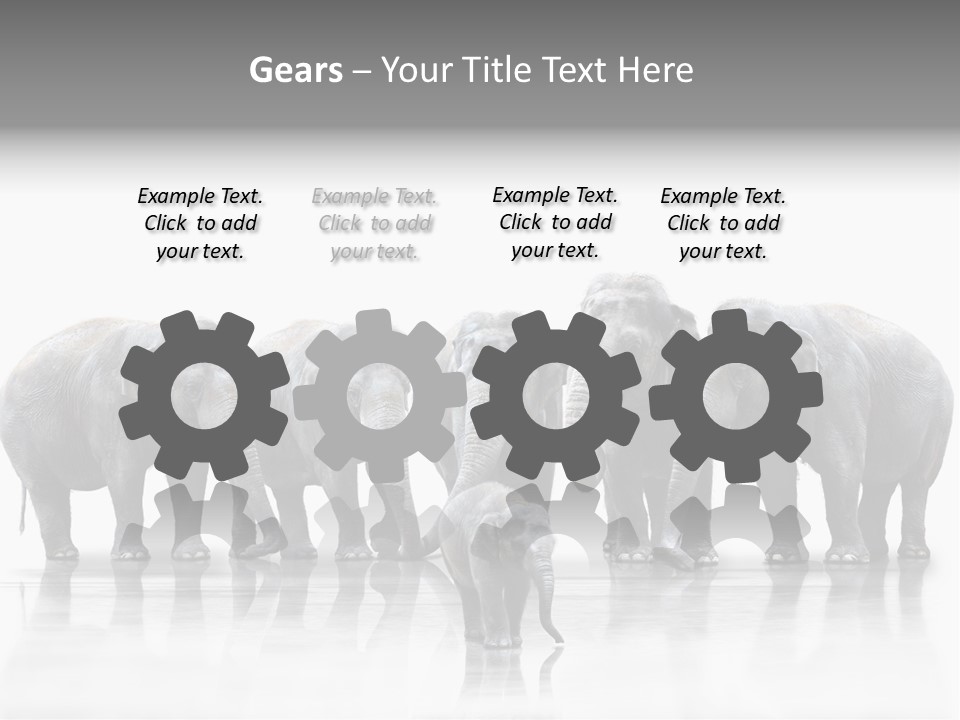 Tier Zusammenhalt Elefanten PowerPoint Template