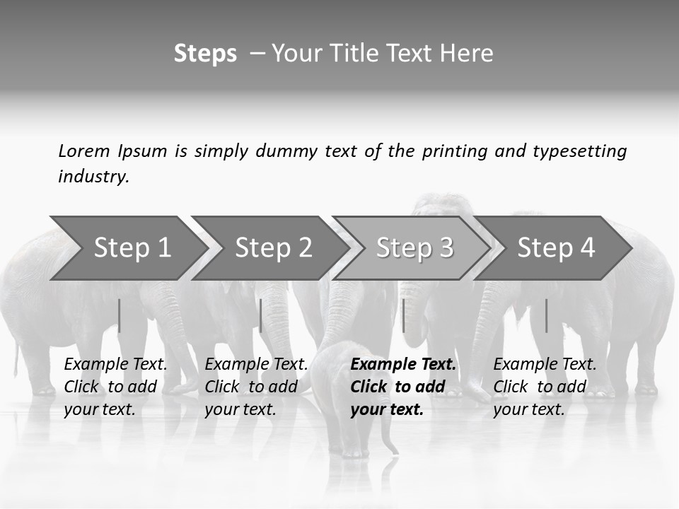 Tier Zusammenhalt Elefanten PowerPoint Template