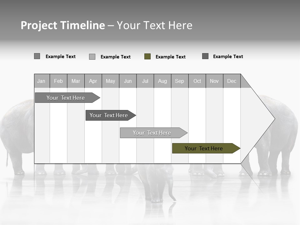 Tier Zusammenhalt Elefanten PowerPoint Template