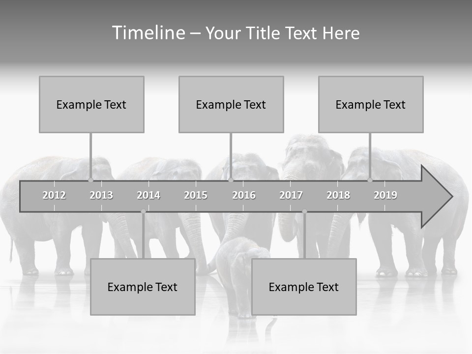 Tier Zusammenhalt Elefanten PowerPoint Template