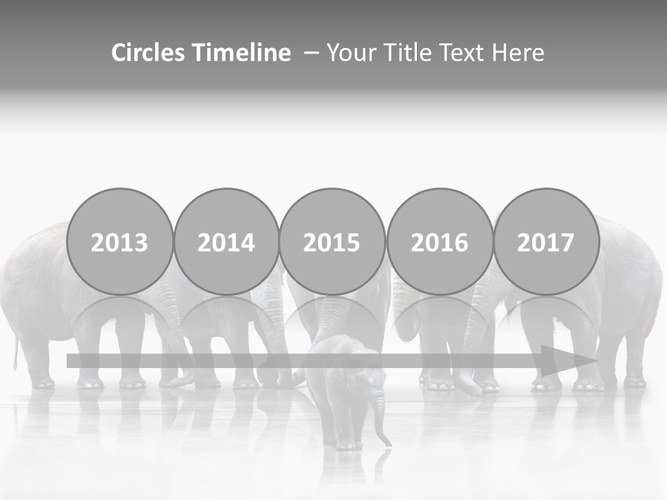 Tier Zusammenhalt Elefanten PowerPoint Template