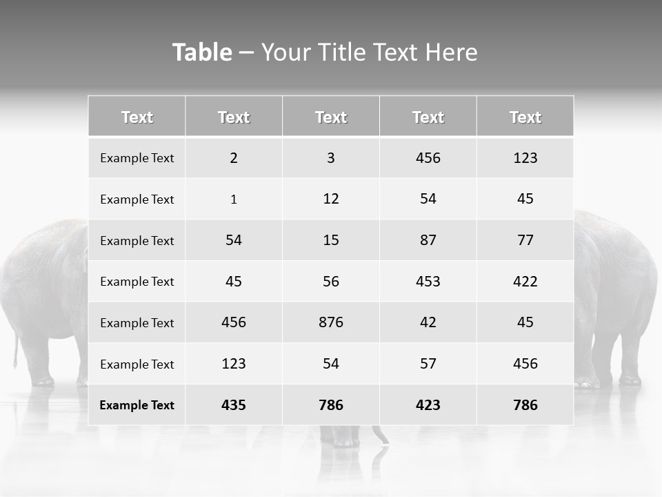Tier Zusammenhalt Elefanten PowerPoint Template