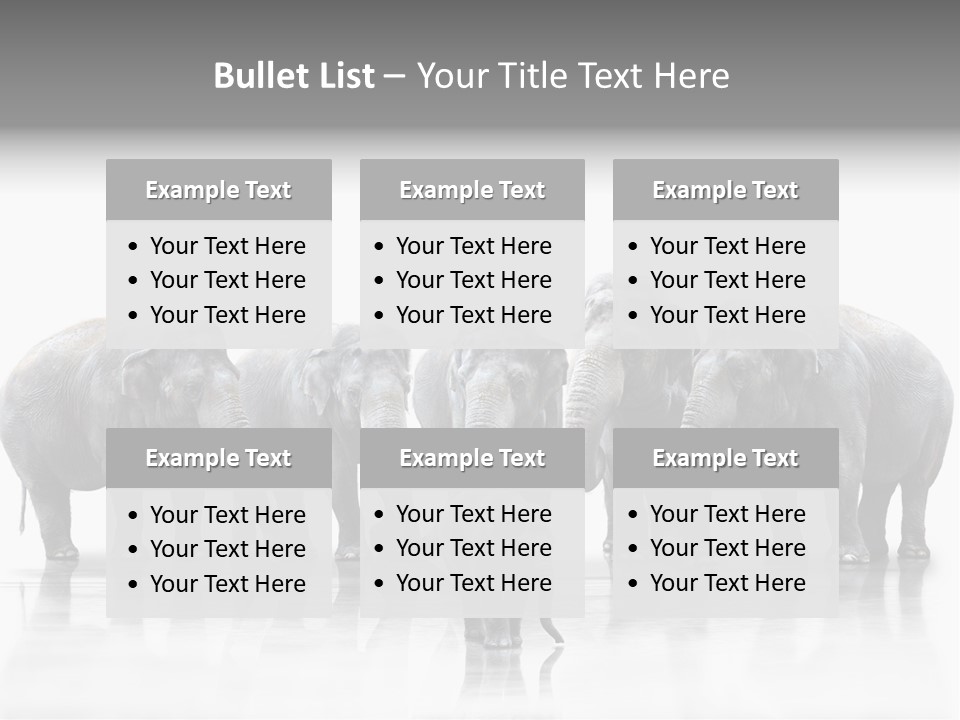 Tier Zusammenhalt Elefanten PowerPoint Template