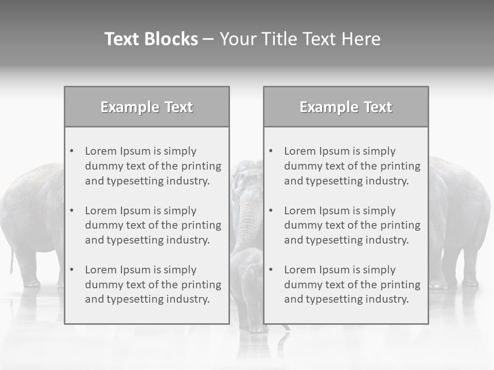 Tier Zusammenhalt Elefanten PowerPoint Template