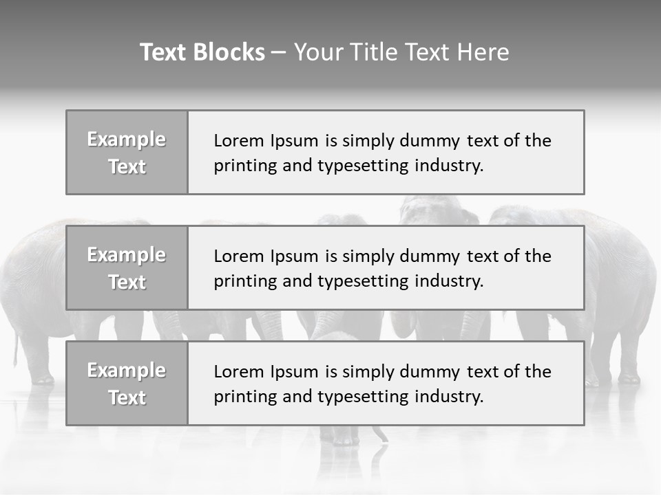 Tier Zusammenhalt Elefanten PowerPoint Template