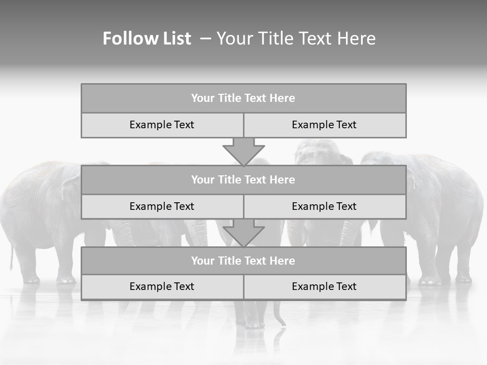 Tier Zusammenhalt Elefanten PowerPoint Template