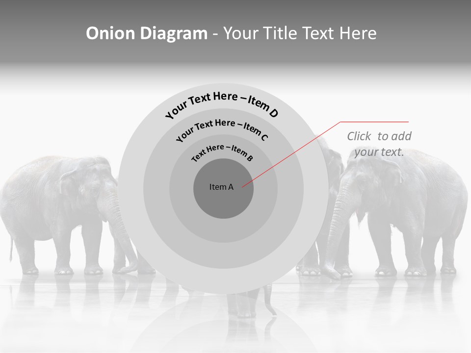 Tier Zusammenhalt Elefanten PowerPoint Template
