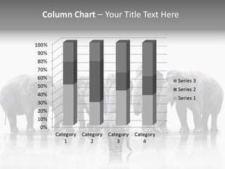 Tier Zusammenhalt Elefanten PowerPoint Template