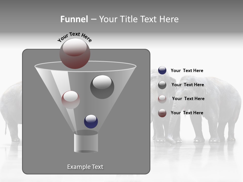 Tier Zusammenhalt Elefanten PowerPoint Template