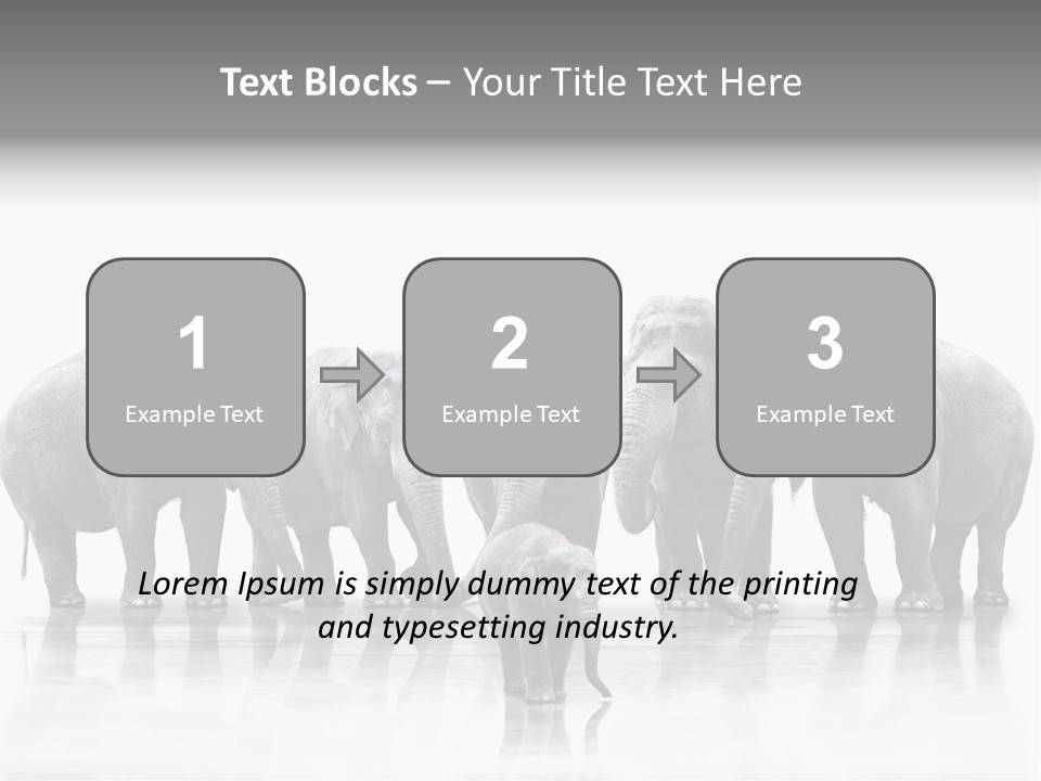 Tier Zusammenhalt Elefanten PowerPoint Template
