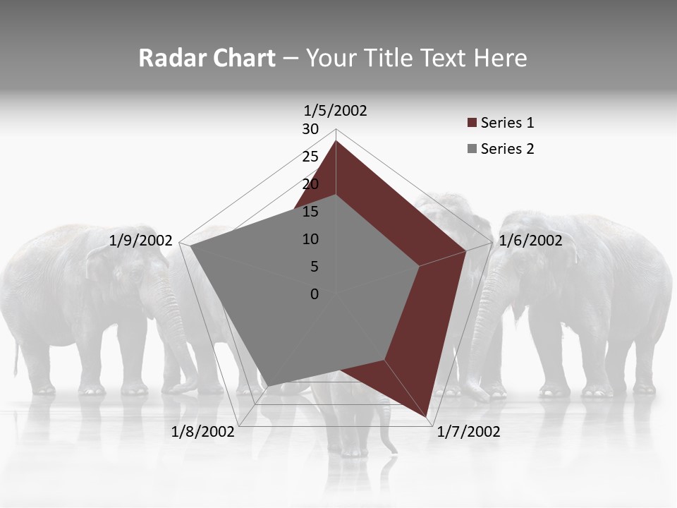 Tier Zusammenhalt Elefanten PowerPoint Template