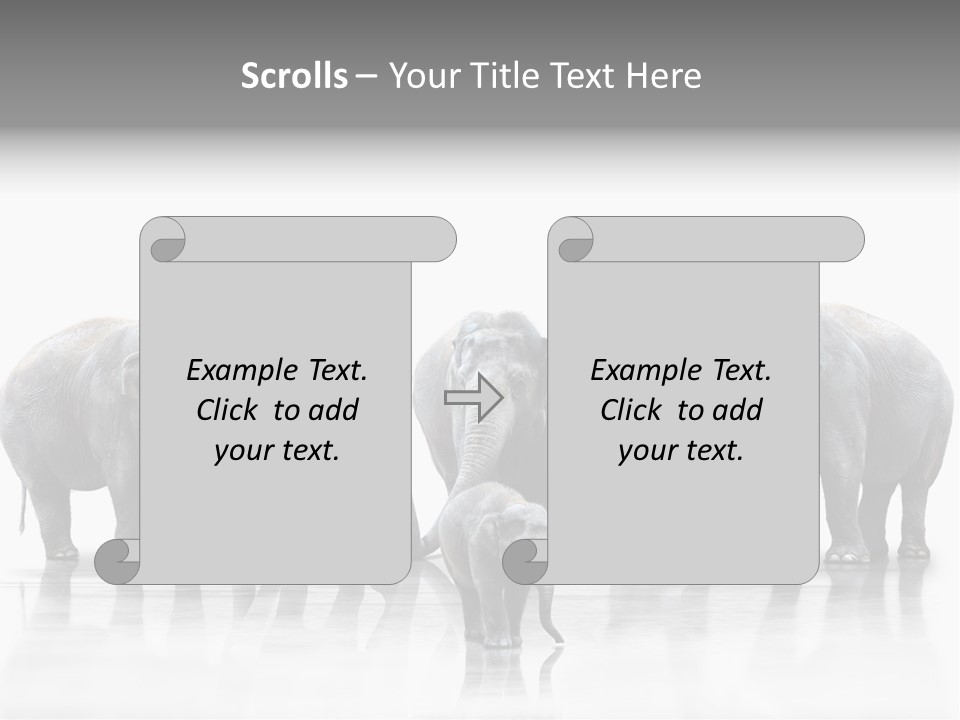 Tier Zusammenhalt Elefanten PowerPoint Template