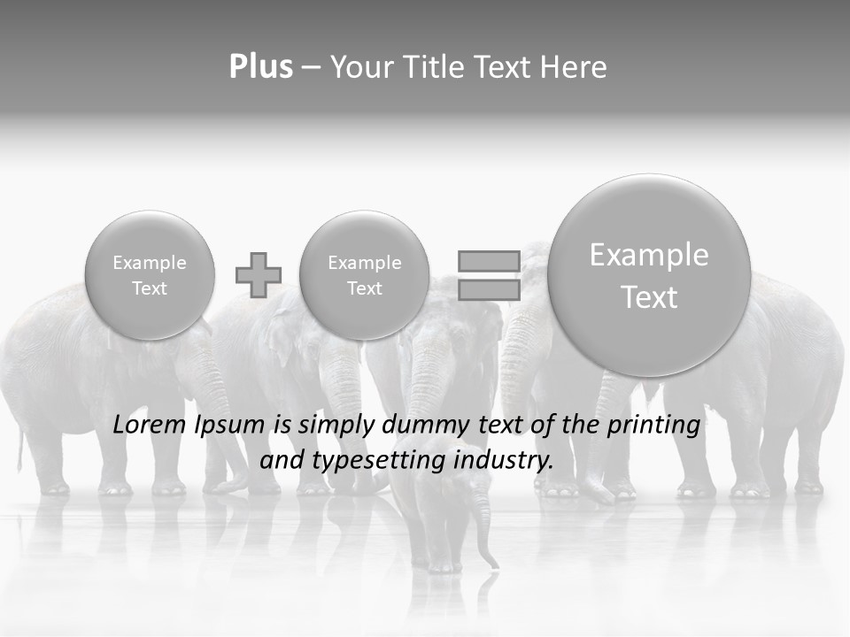 Tier Zusammenhalt Elefanten PowerPoint Template
