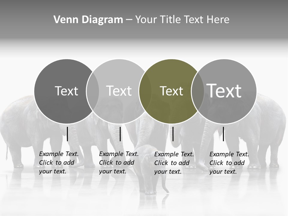 Tier Zusammenhalt Elefanten PowerPoint Template