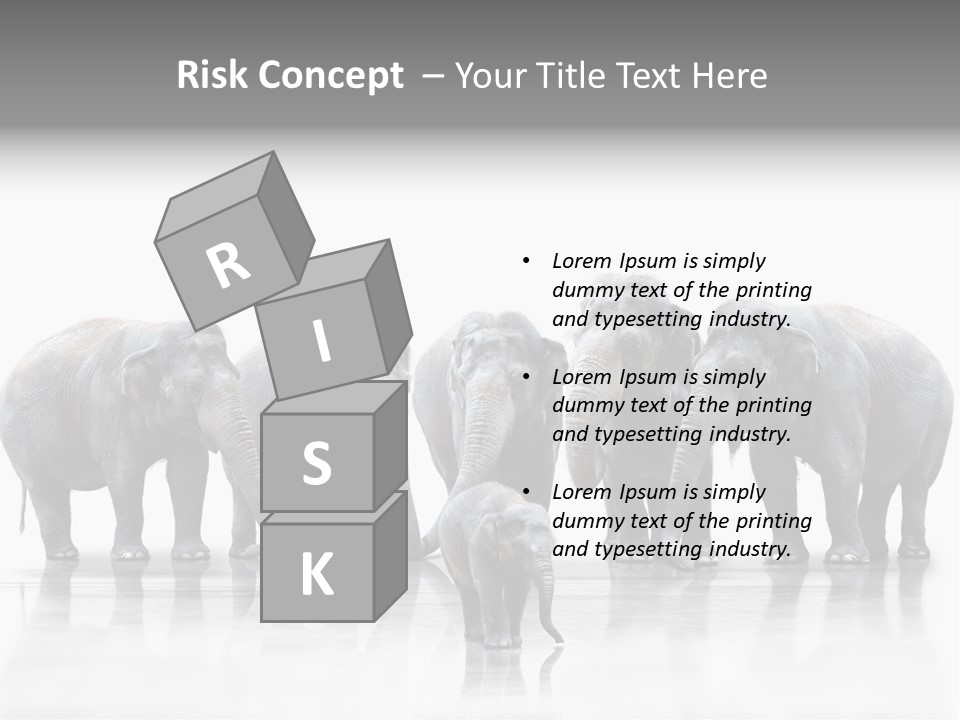 Tier Zusammenhalt Elefanten PowerPoint Template