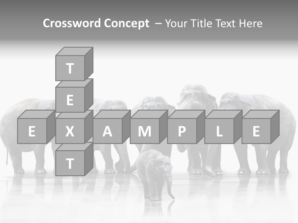 Tier Zusammenhalt Elefanten PowerPoint Template