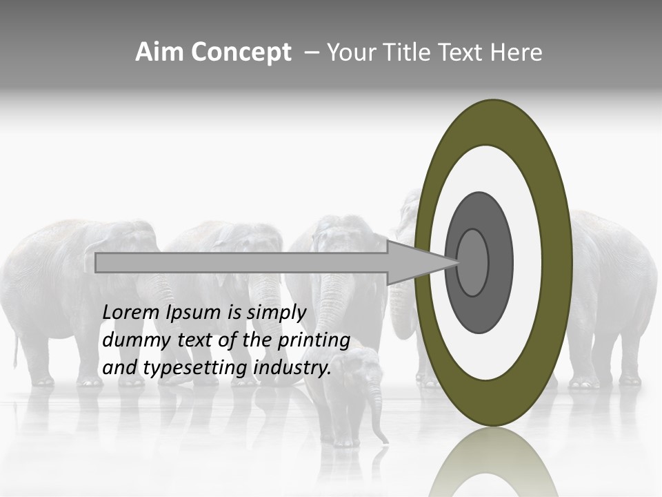 Tier Zusammenhalt Elefanten PowerPoint Template