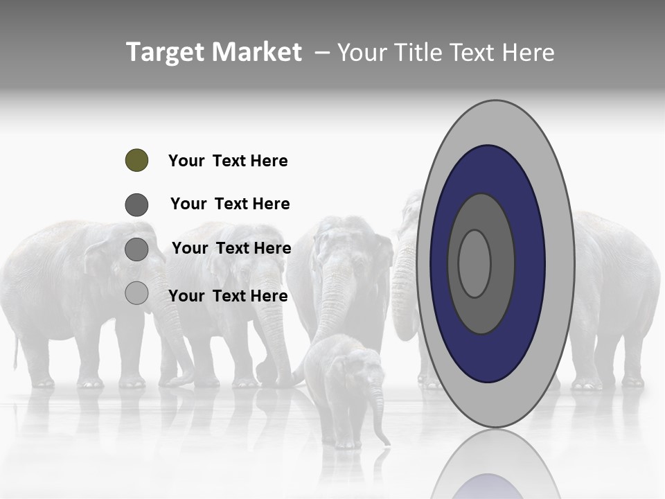 Tier Zusammenhalt Elefanten PowerPoint Template