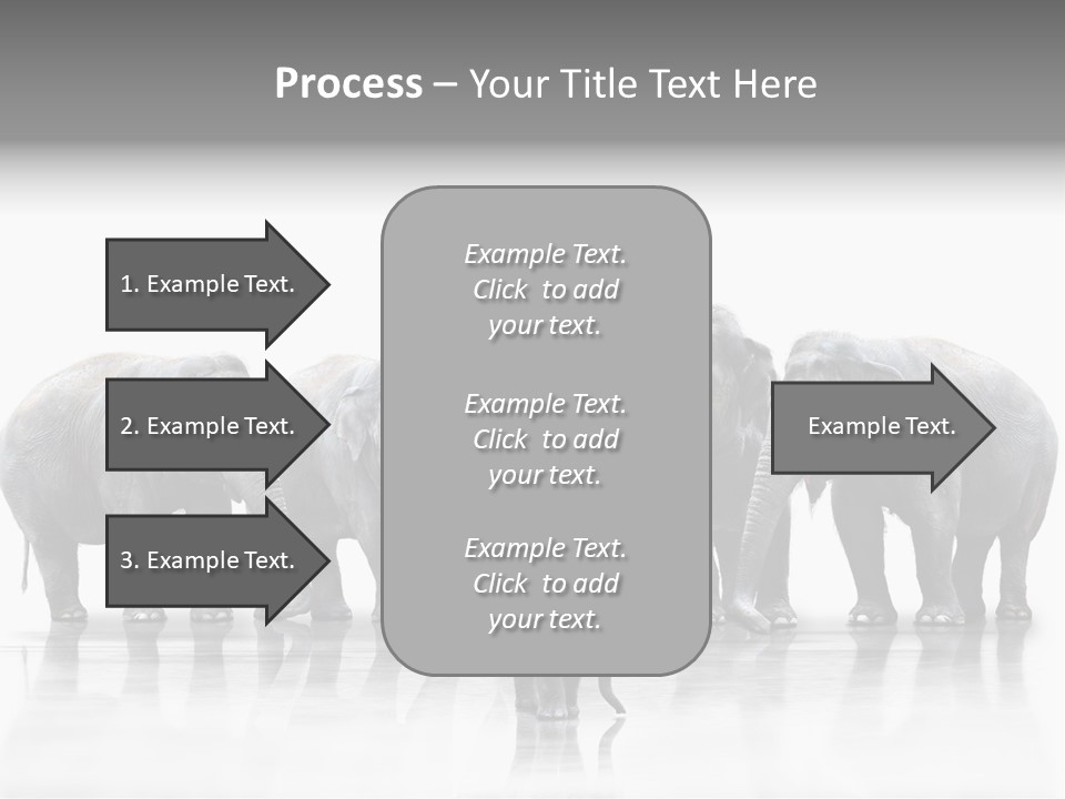 Tier Zusammenhalt Elefanten PowerPoint Template