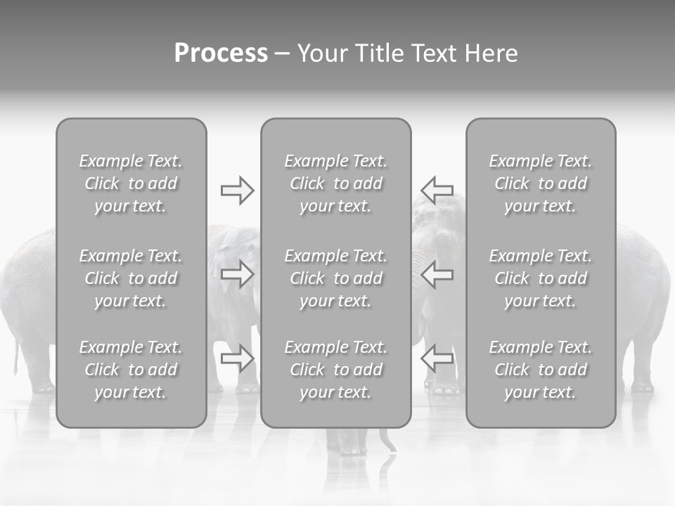 Tier Zusammenhalt Elefanten PowerPoint Template