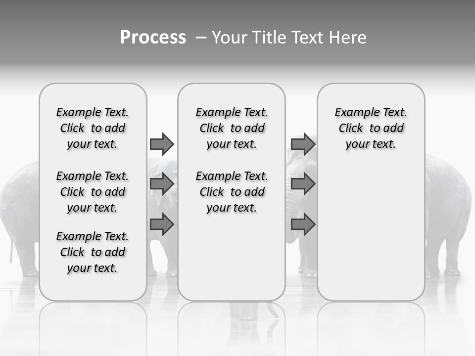 Tier Zusammenhalt Elefanten PowerPoint Template
