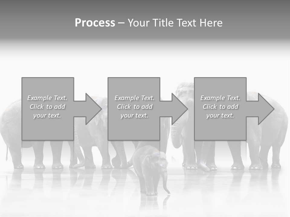 Tier Zusammenhalt Elefanten PowerPoint Template