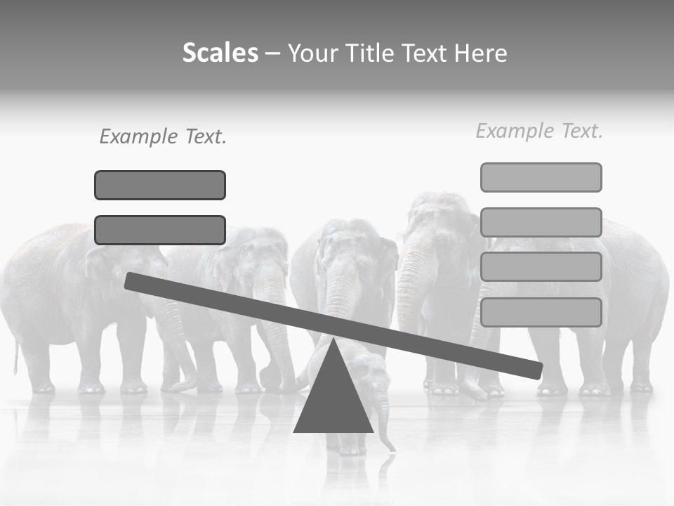 Tier Zusammenhalt Elefanten PowerPoint Template
