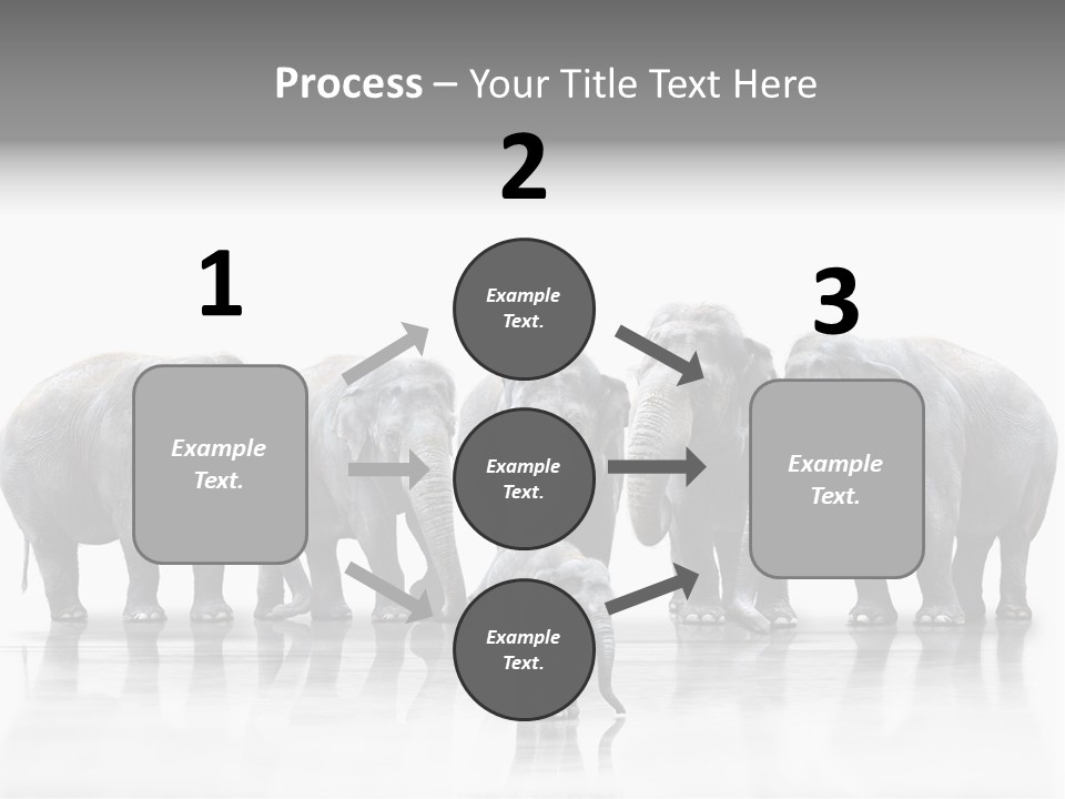 Tier Zusammenhalt Elefanten PowerPoint Template