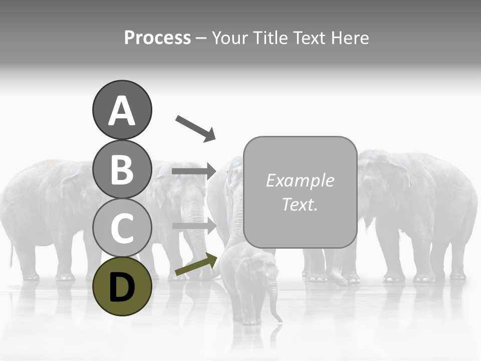 Tier Zusammenhalt Elefanten PowerPoint Template