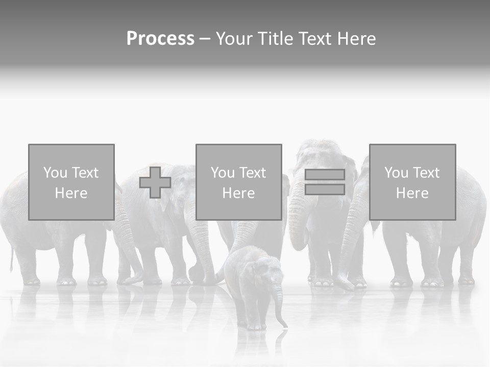 Tier Zusammenhalt Elefanten PowerPoint Template