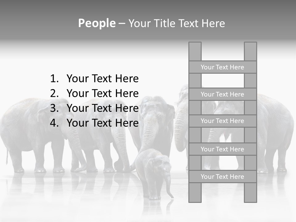 Tier Zusammenhalt Elefanten PowerPoint Template