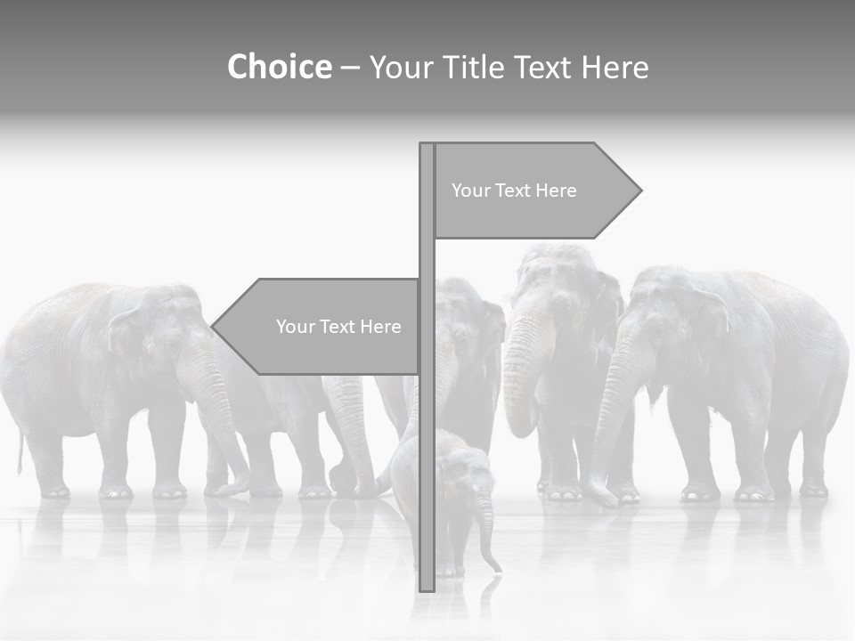 Tier Zusammenhalt Elefanten PowerPoint Template