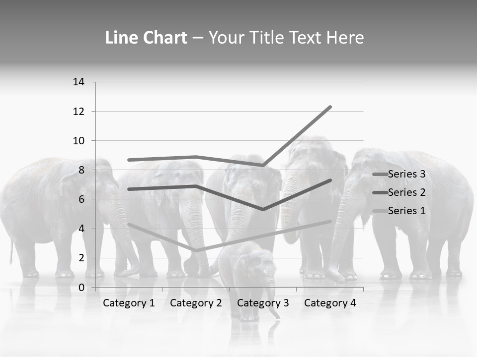 Tier Zusammenhalt Elefanten PowerPoint Template
