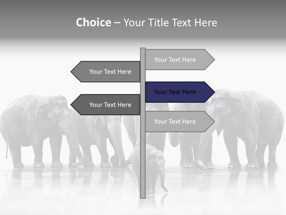 Tier Zusammenhalt Elefanten PowerPoint Template