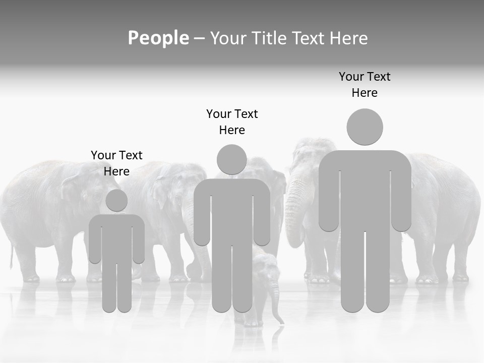 Tier Zusammenhalt Elefanten PowerPoint Template