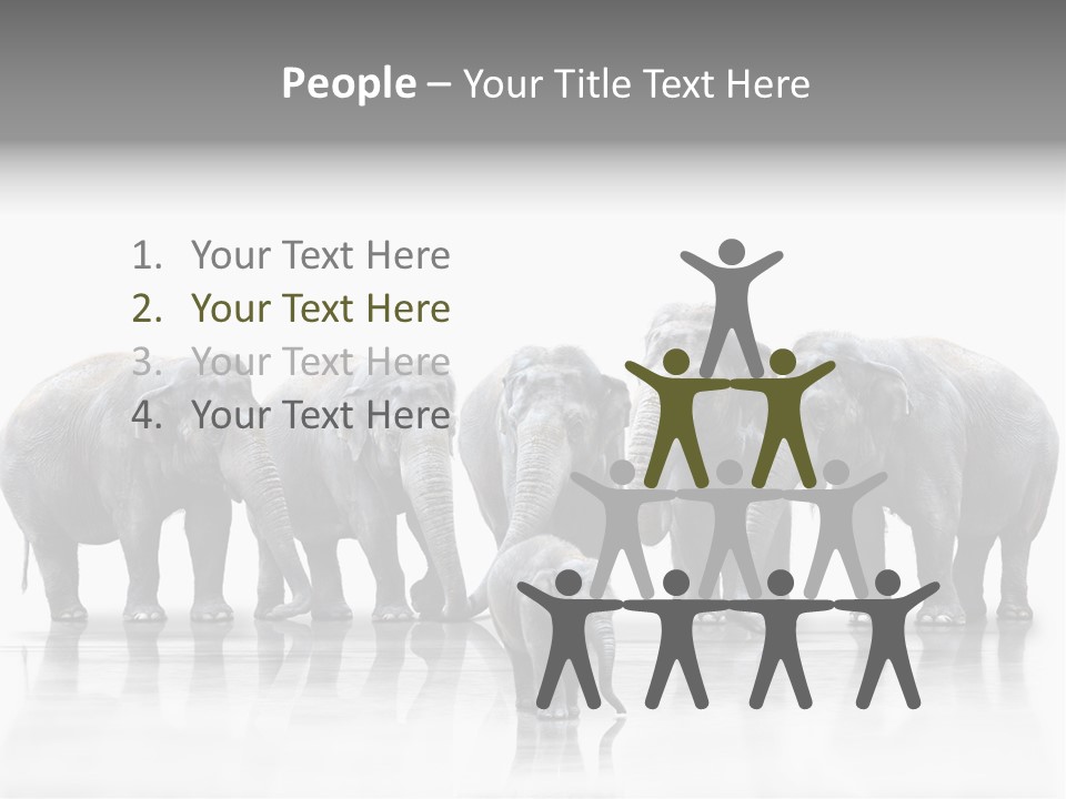 Tier Zusammenhalt Elefanten PowerPoint Template
