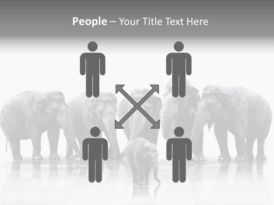 Tier Zusammenhalt Elefanten PowerPoint Template