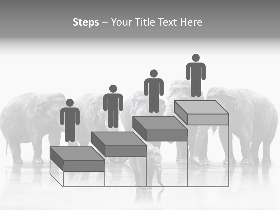 Tier Zusammenhalt Elefanten PowerPoint Template