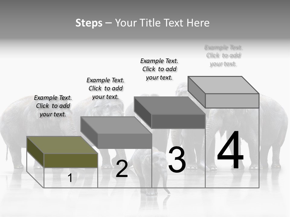 Tier Zusammenhalt Elefanten PowerPoint Template
