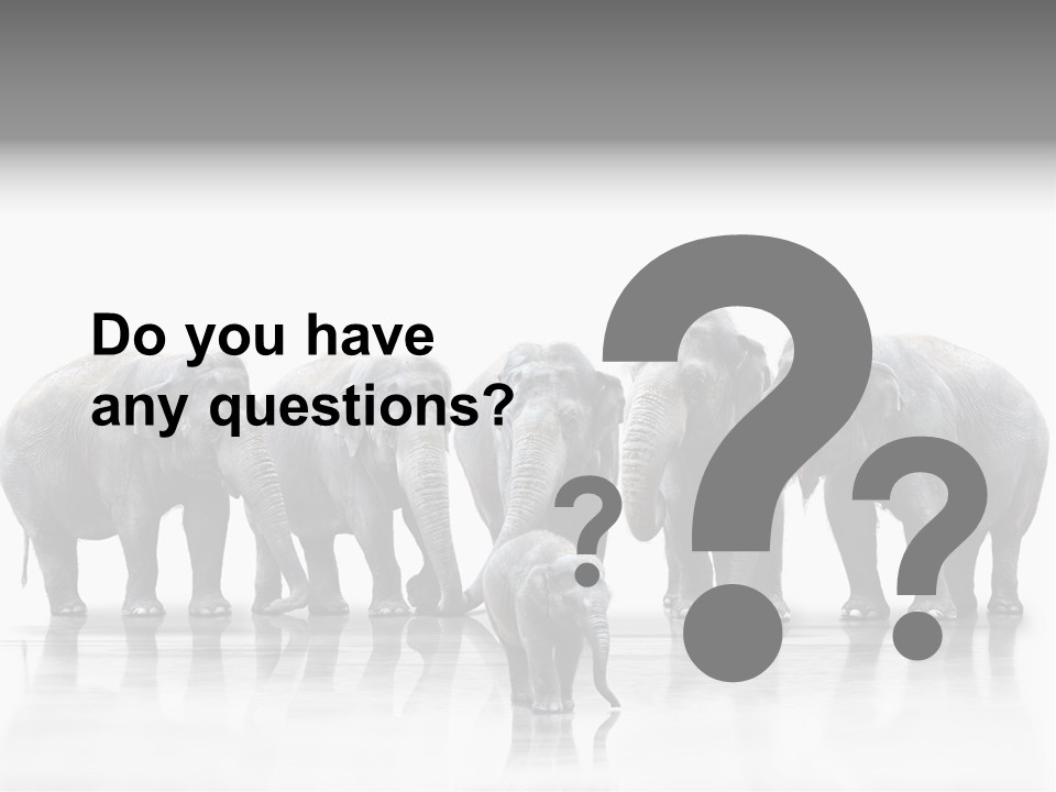 Tier Zusammenhalt Elefanten PowerPoint Template