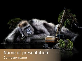 Urwald Baum Affe PowerPoint Template